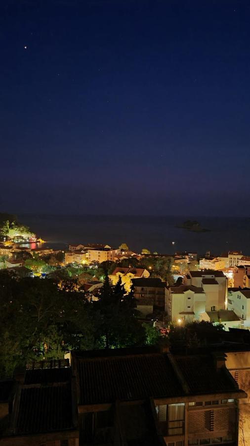 Anja & Ogo Apartments Sea View & Pool Petrovac Eksteriør billede
