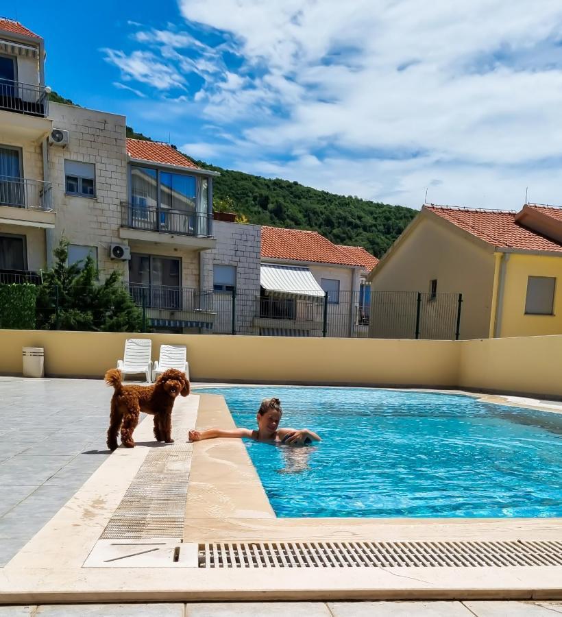 Anja & Ogo Apartments Sea View & Pool Petrovac Eksteriør billede
